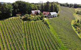 Weingut spitzyPeitler